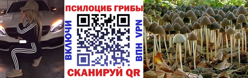 Псилоцибиновые грибы мухоморы  закладка  Городец 