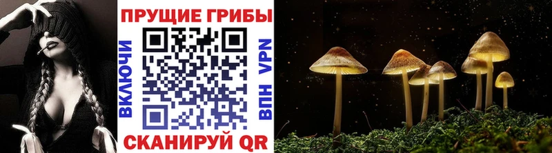 Псилоцибиновые грибы прущие грибы Городец