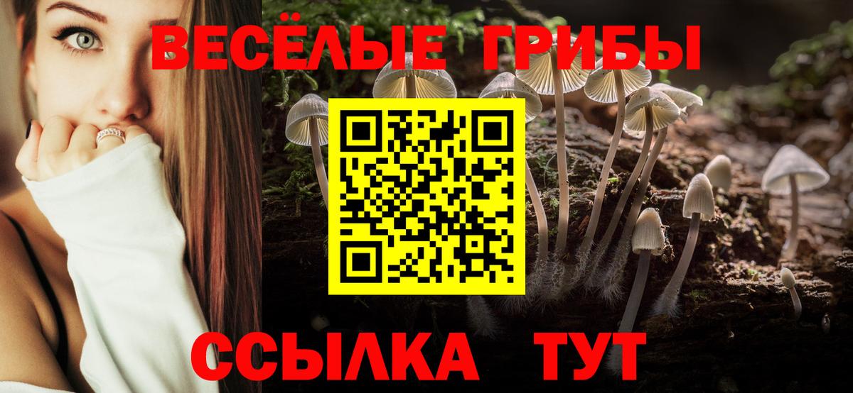 Галлюциногенные грибы мицелий Городец